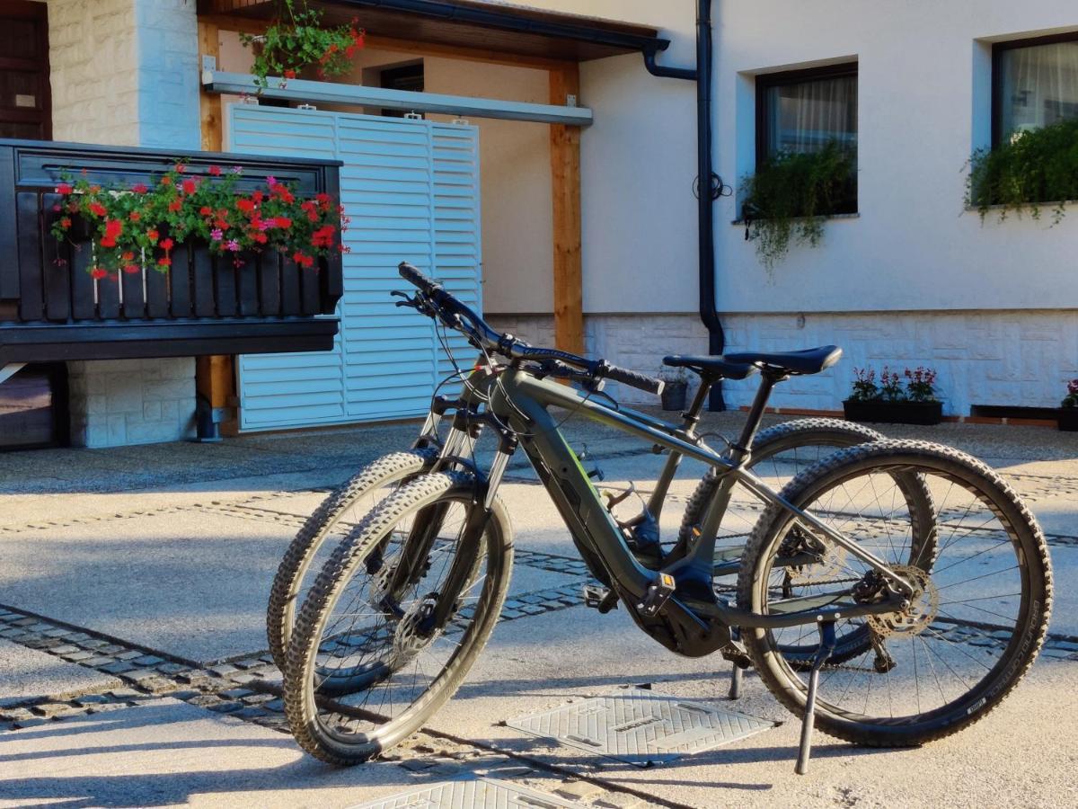 Garden Apartments Jansa Radovljica Ngoại thất bức ảnh