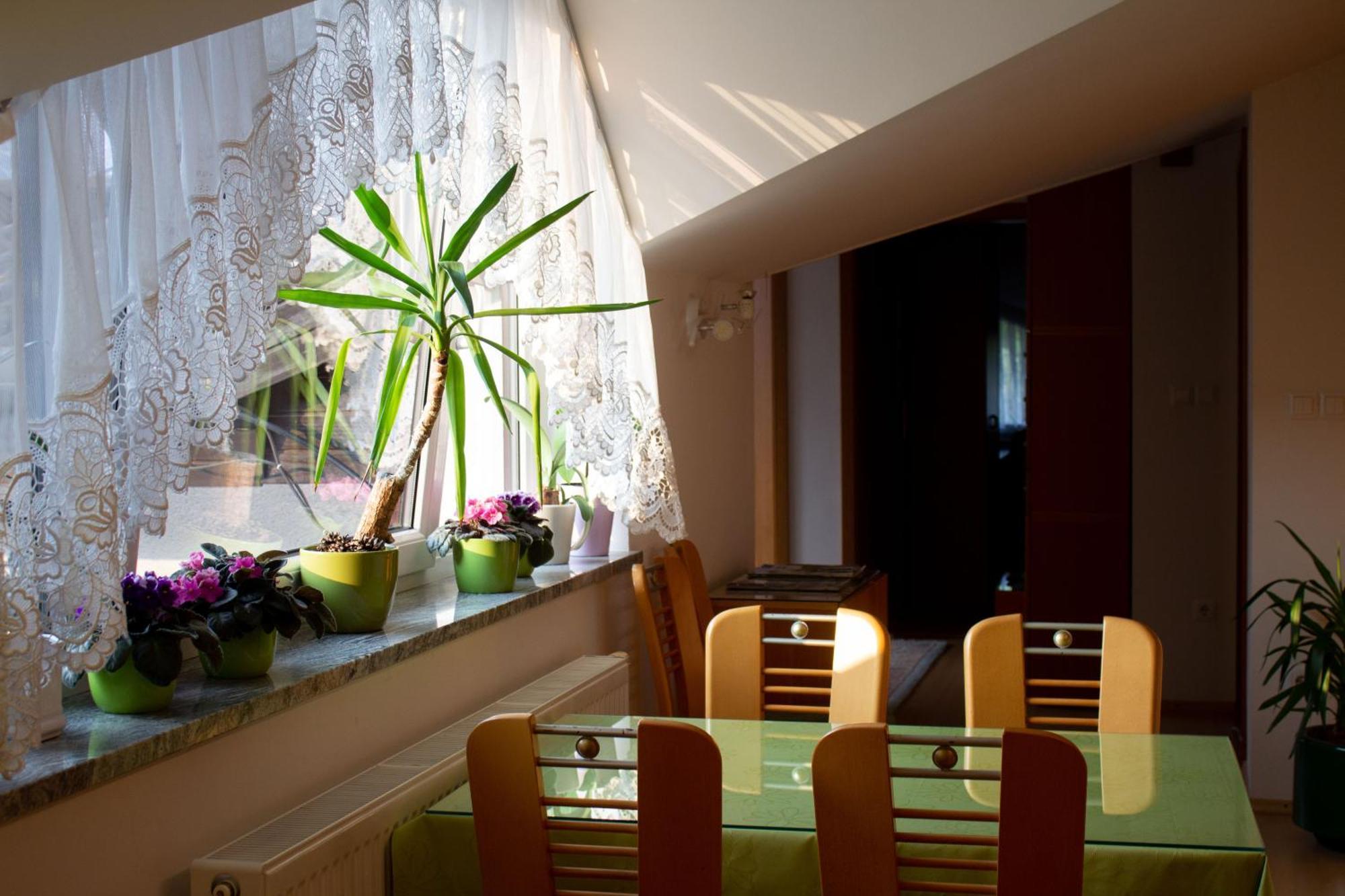 Garden Apartments Jansa Radovljica Phòng bức ảnh